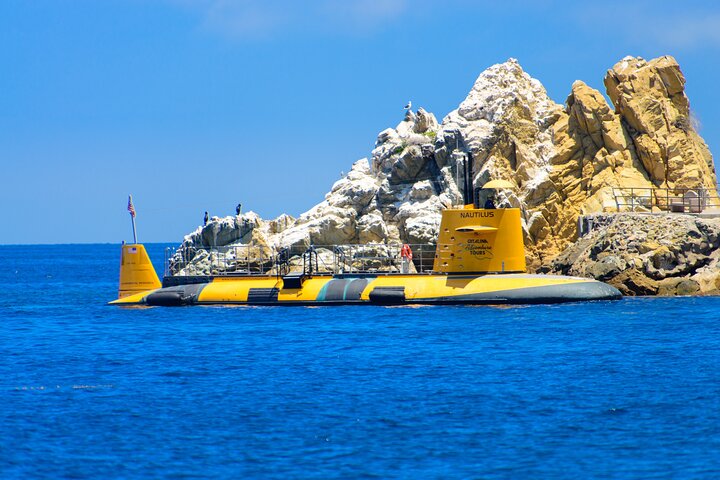Tour in semi-sottomarino giallo dell'isola di Catalina da Avalon