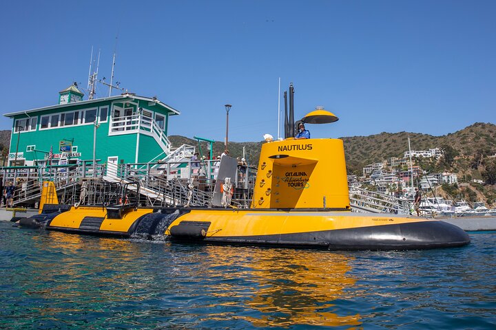Tour in semi-sottomarino giallo dell'isola di Catalina da Avalon