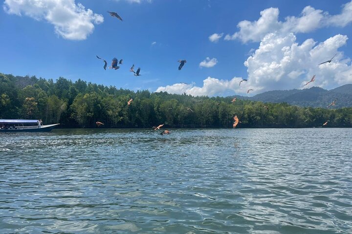Excursiones en tierra en la isla de Langkawi para viajeros de cruceros