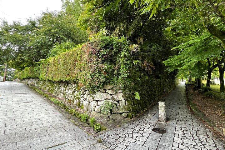 Kyoto: Privat rundtur i världsarvet Enryakuji och munkstaden