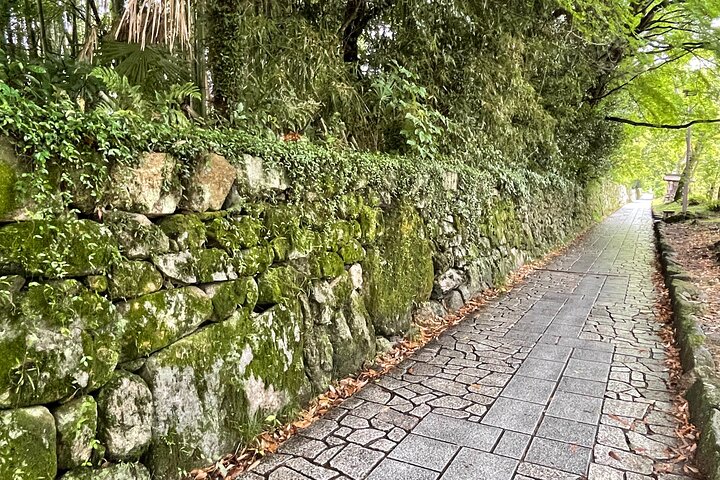 Kyoto: Privat rundtur i världsarvet Enryakuji och munkstaden