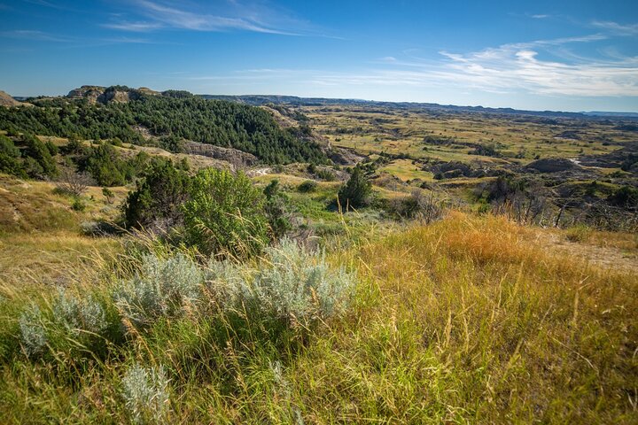 Självguidad ljudtur i Theodore Roosevelt nationalpark
