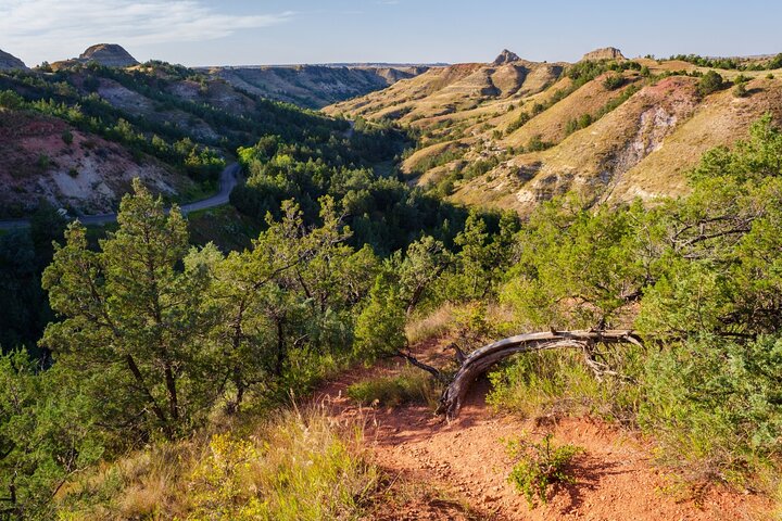 Självguidad ljudtur i Theodore Roosevelt nationalpark