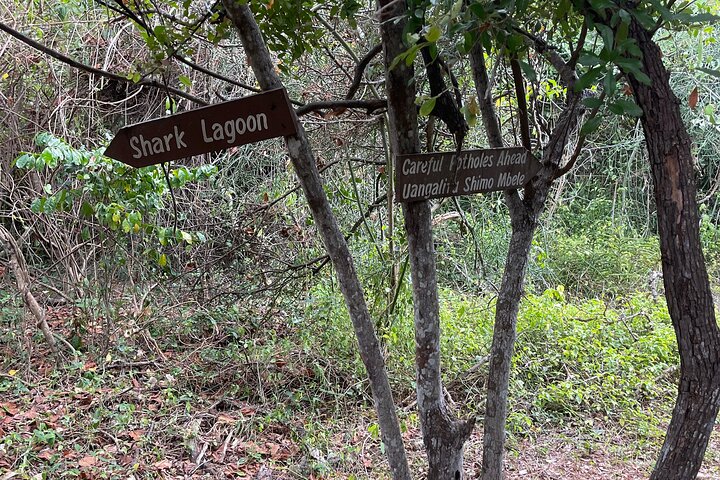 Excursão de dia inteiro à Ilha Bongoyo saindo de Dar Es Salaam