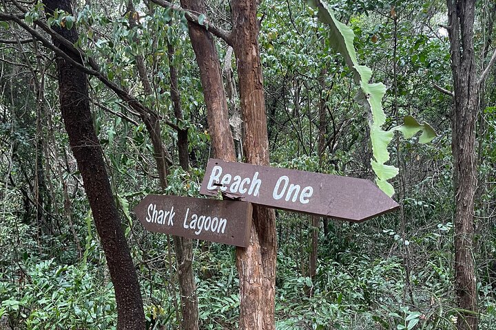Excursão de dia inteiro à Ilha Bongoyo saindo de Dar Es Salaam