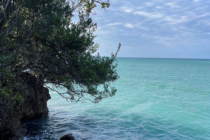 Excursão de dia inteiro à Ilha Bongoyo saindo de Dar Es Salaam