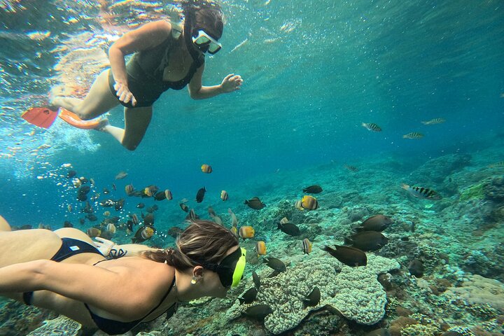 Nusa Penida : Schnorchelausflug Manta Point, Gamat Bay und Wall Bay