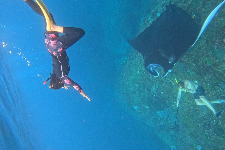 Nusa Penida : Schnorchelausflug Manta Point, Gamat Bay und Wall Bay
