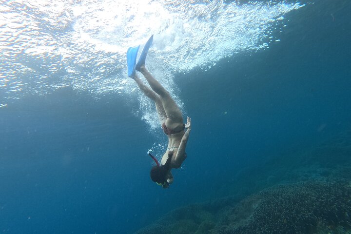 Nusa Penida : Schnorchelausflug Manta Point, Gamat Bay und Wall Bay