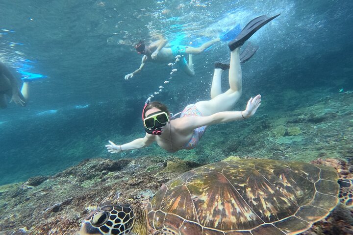Nusa Penida : Schnorchelausflug Manta Point, Gamat Bay und Wall Bay