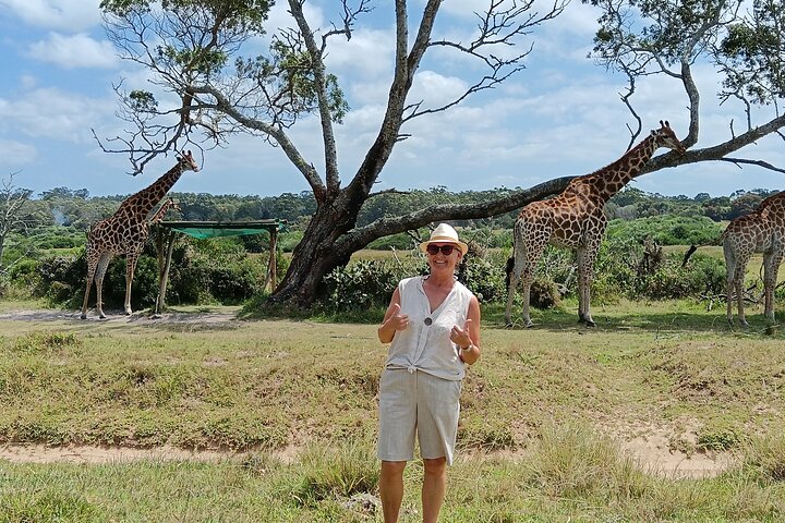 Passeio guiado pelo Kragga Kamma Game Park Safari em Port Elizabeth