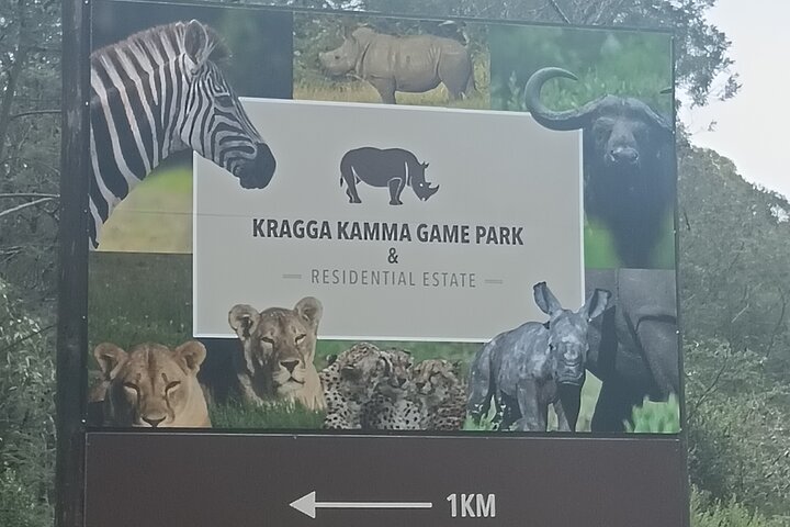 Passeio guiado pelo Kragga Kamma Game Park Safari em Port Elizabeth