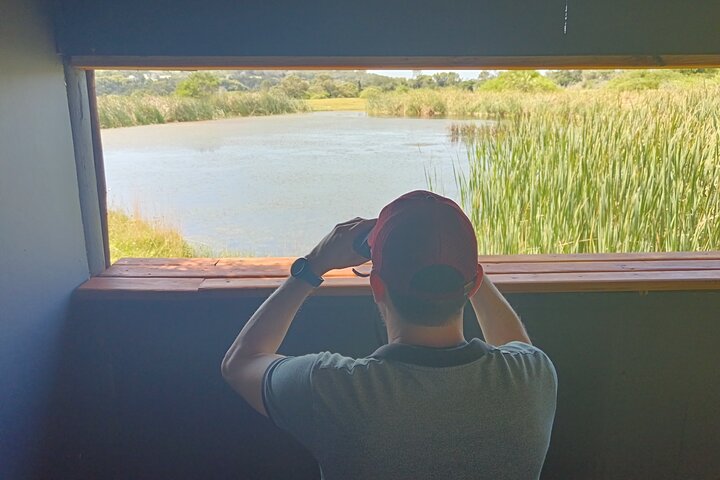 Passeio guiado pelo Kragga Kamma Game Park Safari em Port Elizabeth