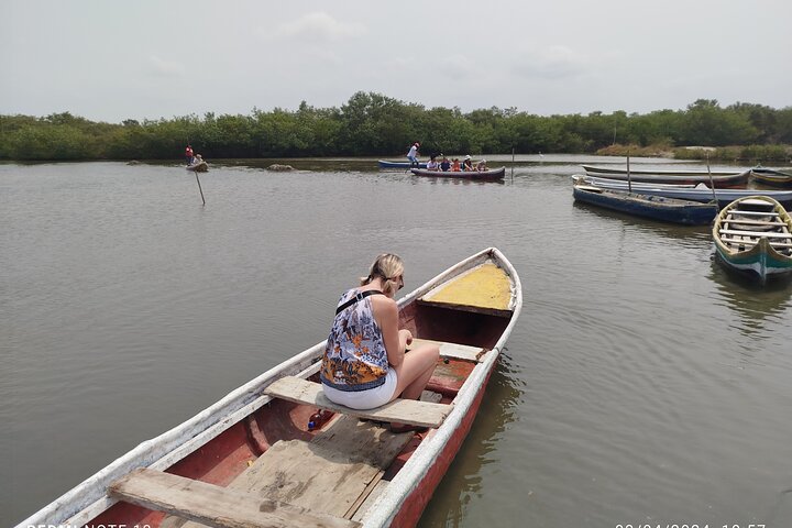 Sejl gennem mangroverne i Cartagena med kano