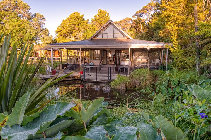 Unique Cultural Experience at Waitangi Treaty Grounds – Day Pass