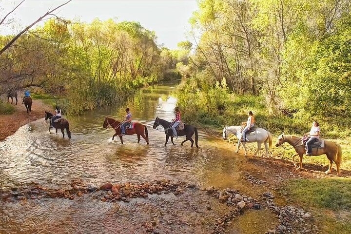 Paardrijtochten in Sedona op Dead Horse Ranch met rivieroversteek