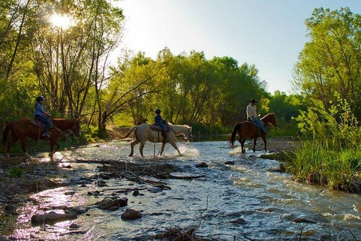 Paardrijtochten in Sedona op Dead Horse Ranch met rivieroversteek