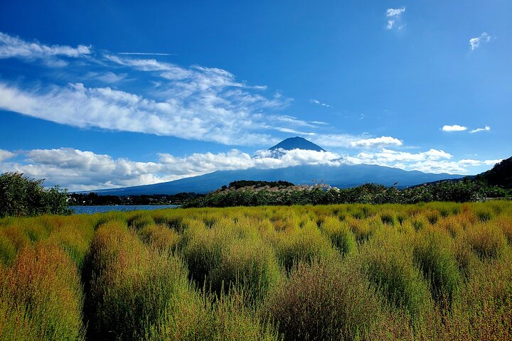 Visite privée d'une journée au mont Fuji au départ de Yokohama Personnalisable