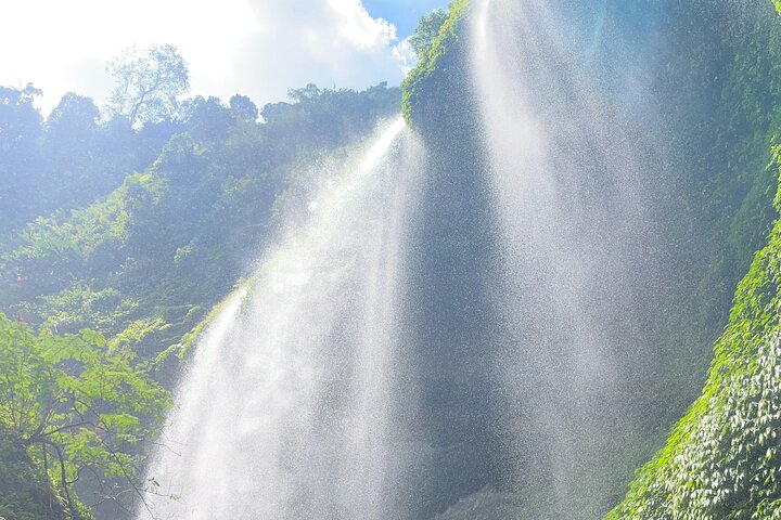 1-dagers Bromo privat dagstur med Madakaripura-fossen
