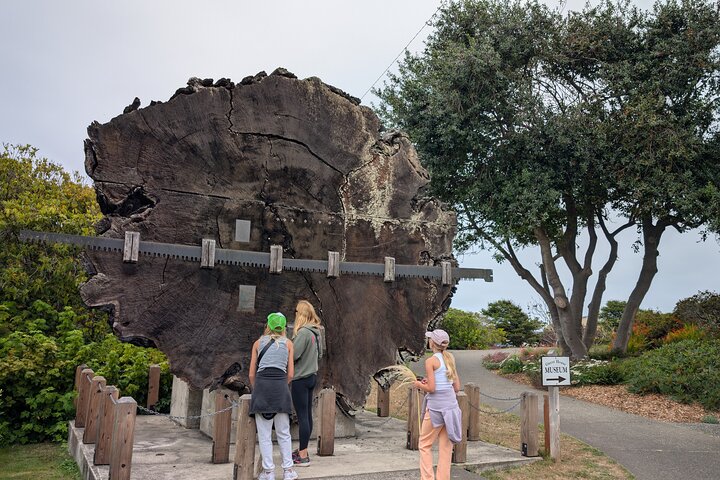 Attività di caccia al tesoro a Fort Bragg, California, a piedi e gioco