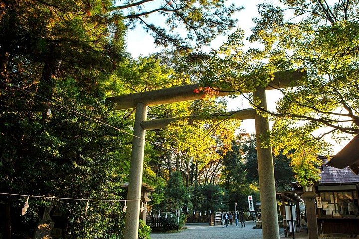 Hotell i nærheten av Takachiho Gorge & Kamishikimi Kumanoimasu Shrine