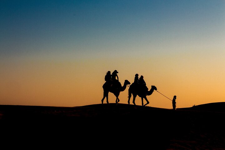 Full Day Desert Safari in Qatar with Lunch/Dinner by sea side
