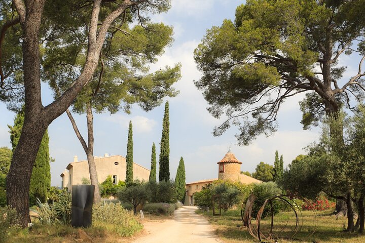 Excursão de vinhos a Bandol saindo de Toulon e dos portos