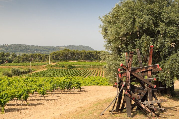 Excursão de vinhos a Bandol saindo de Toulon e dos portos