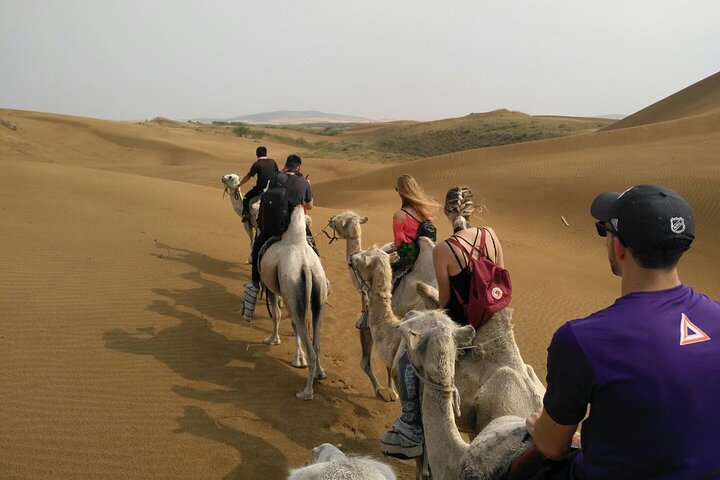 Binnen-Mongolië Hohhot 1Dag Kubuqi-woestijn (Whistling Dune Bay) Tour