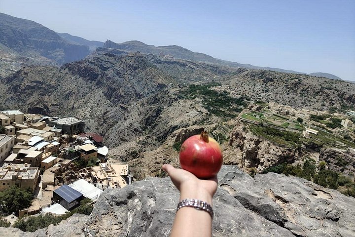Bergen & Forten – Privé dagtour naar Nizwa & Jebel Akhdar
