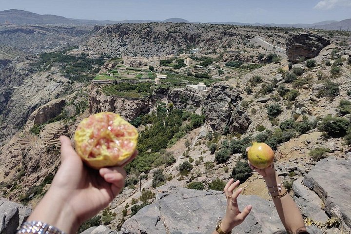 Bergen & Forten – Privé dagtour naar Nizwa & Jebel Akhdar