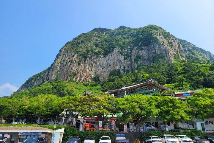 Excursão de dia inteiro ao sul de Jeju pela UNESCO com Mt.Halla