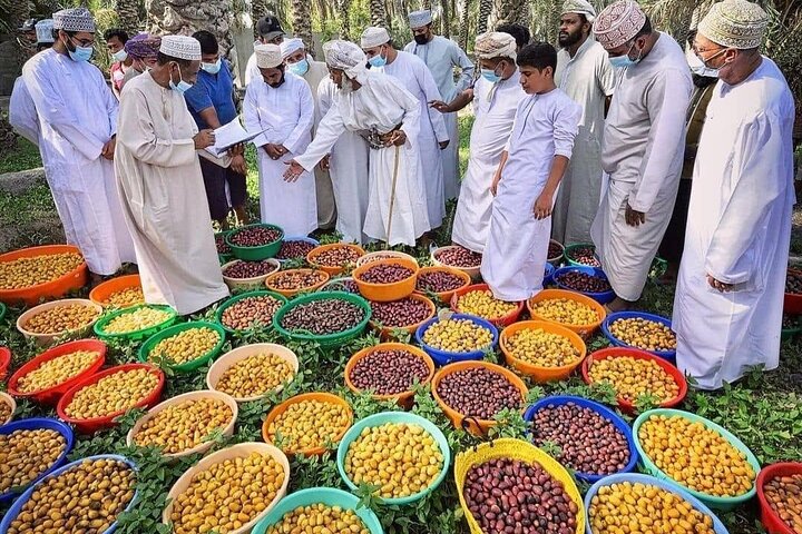 Bergen & Forten – Privé dagtour naar Nizwa & Jebel Akhdar