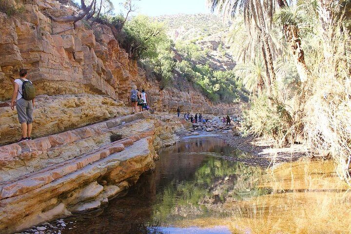 Paradise Valley tur & Geder på Argan træer pakke fra Agadir
