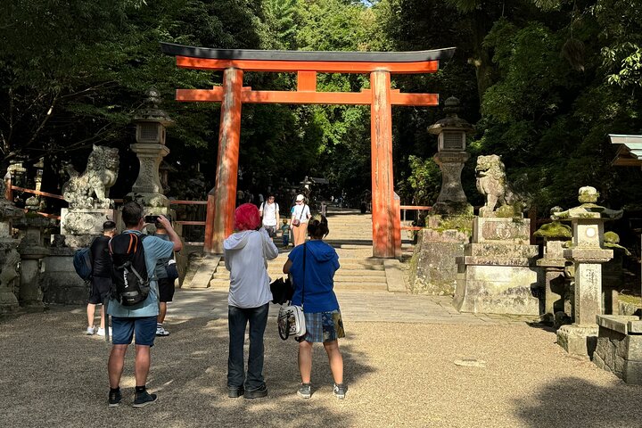 Nara: Excursão privada de meio dia por 4 pontos imperdíveis & Deer Park