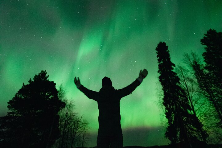 Rovaniemi : Northern Lights Hunt + Foto's & 100% garantie restitutie