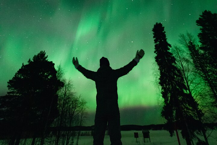 Rovaniemi : Norrskensjakt Max 8 + Proffs foton och 100% återbetalning