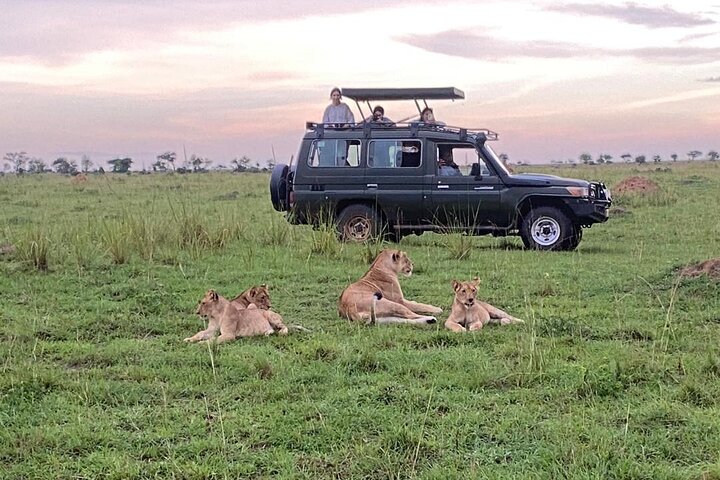 Queen Elizabeth National Park in Oeganda 3-daagse safaritocht