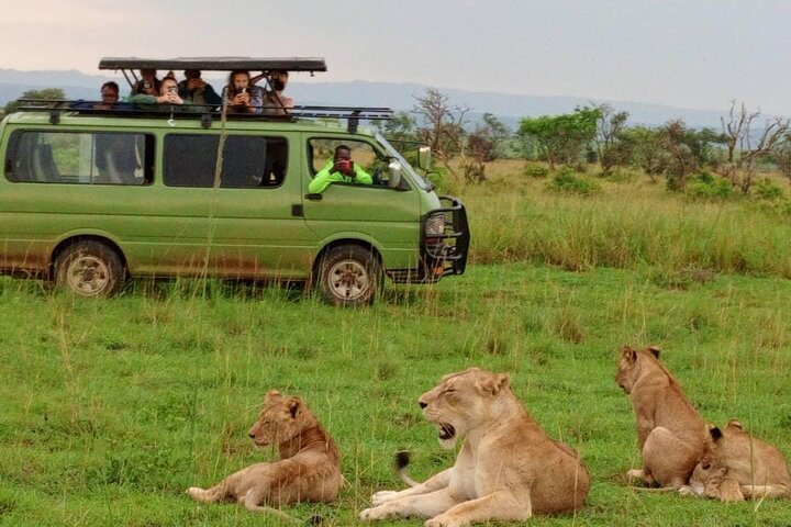 Queen Elizabeth National Park in Oeganda 3-daagse safaritocht