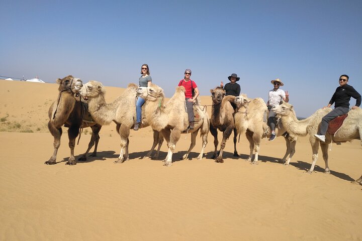 Binnen-Mongolië Hohhot 1Dag Kubuqi-woestijn (Whistling Dune Bay) Tour