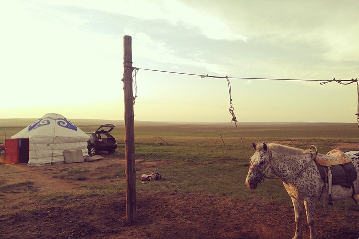 Huhhot Mongólia Interior 3 dias Xilamuren kubuqi Desert Nature Tour