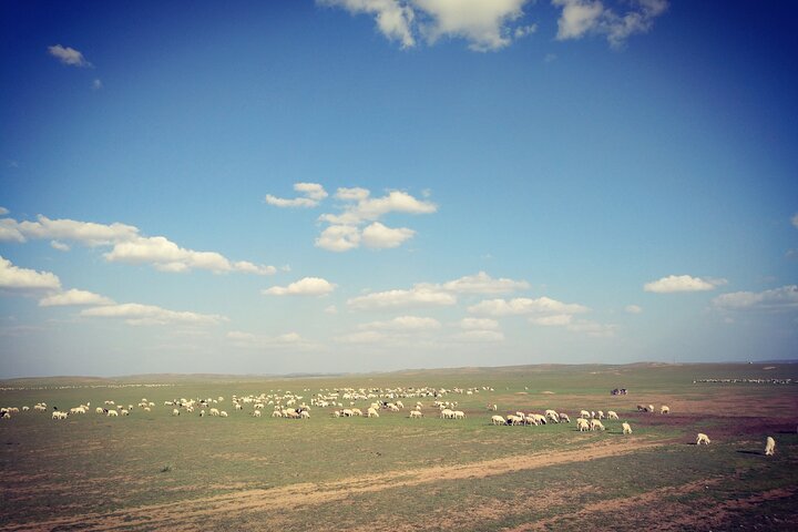 Huhhot Mongólia Interior 3 dias Xilamuren kubuqi Desert Nature Tour