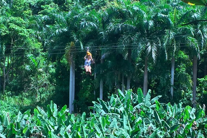 Ziplining at the Rainforest in Puerto Rico