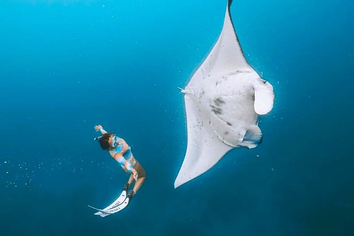 Excursión de un día a la isla de Nusa Penida occidental y snorkel en Manta Point