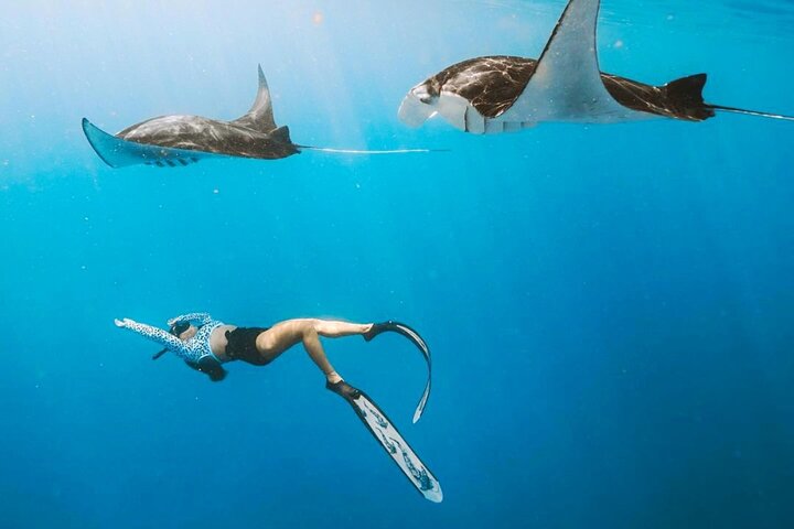 Excursión de un día a la isla de Nusa Penida occidental y snorkel en Manta Point