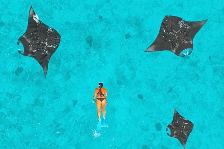 Excursión de un día a la isla de Nusa Penida occidental y snorkel en Manta Point