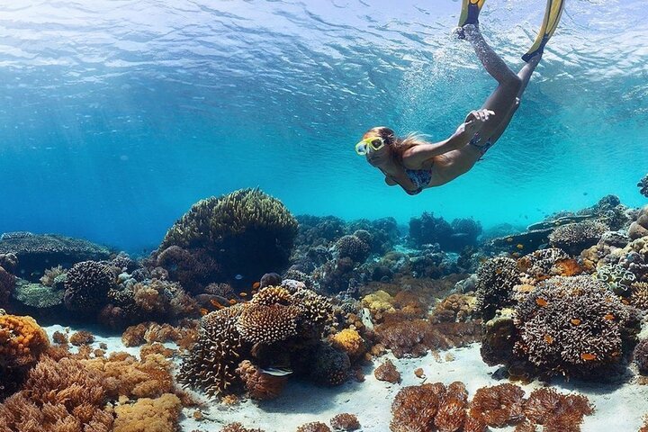 Excursión de un día a la isla de Nusa Penida occidental y snorkel en Manta Point