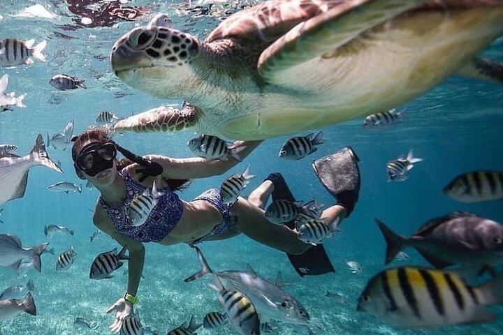 Excursión de un día a la isla de Nusa Penida occidental y snorkel en Manta Point