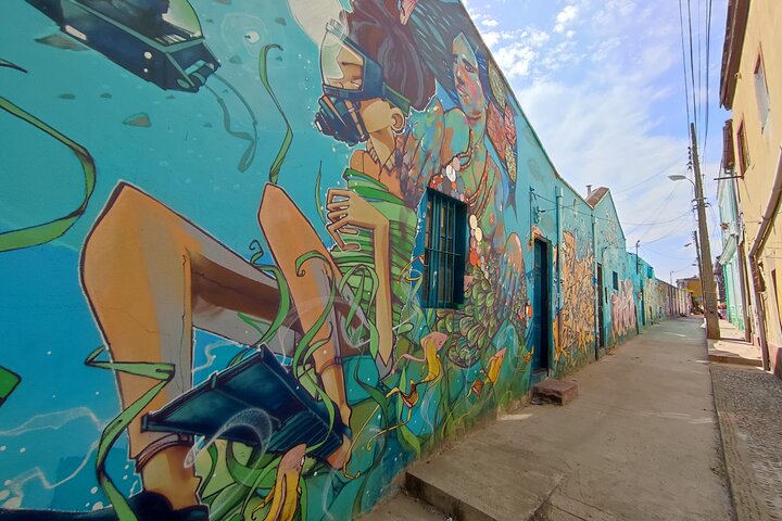 Recorrido privado de San Antonio a Valparaíso con regreso a Santiago