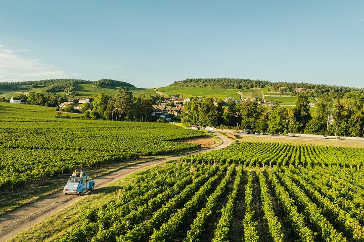 3-timmars guidad tur på Burgundy Wine Route i en 2CV